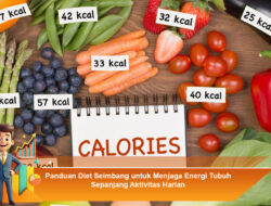 Panduan Diet Seimbang untuk Menjaga Energi Tubuh Sepanjang Aktivitas Harian