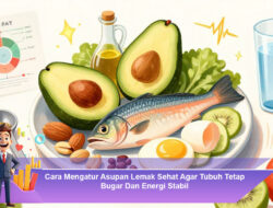Cara Mengatur Asupan Lemak Sehat Agar Tubuh Tetap Bugar Dan Energi Stabil