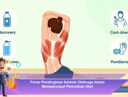 Peran Pendinginan Setelah Olahraga dalam Mempercepat Pemulihan Otot